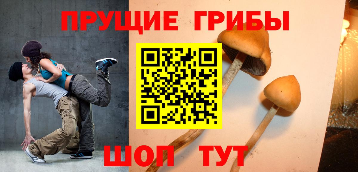 Галлюциногенные грибы Psilocybine cubensis  дарнет шоп  Барнаул  Псилоцибиновые грибы ЛСД  Вход с VPN 
