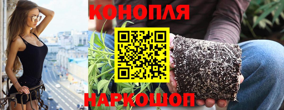 Барнаул  Марихуана индика  Каннабис конопля  Вход с VPN  Бошки Шишки Amnesia 